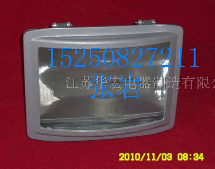 供应华宏NYE9100*眩通路灯ZY8610*泛光灯价格