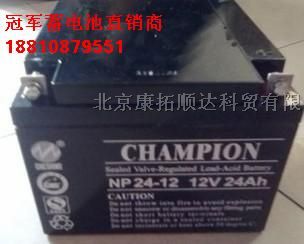 铅酸免维护蓄电池NP55-12 12V55AH/20HR