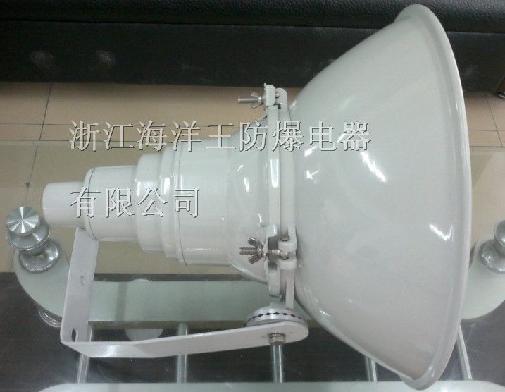 供应NTC9200 /NTC9210场馆投光灯 球场投光灯