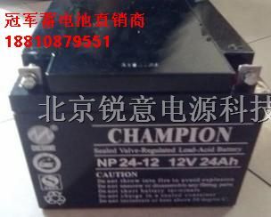 优惠价NP24-12|蓄电池NP24-12