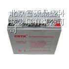 代理美国CSTK山特蓄电池6-GFM-17/12V17AH