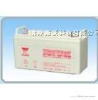 供应汤浅蓄电池NP65-12V