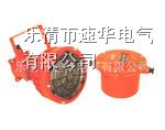 供应DGC175/127B(A)矿用隔爆型投光灯矿用隔爆型投光灯