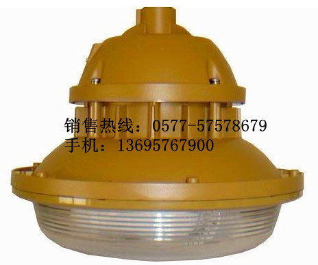 供应*F6102,*F6102免维护**水*尘*腐灯