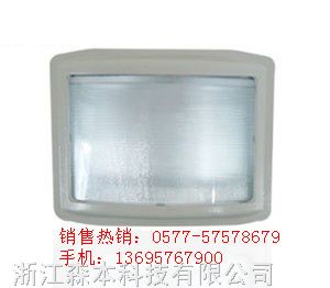 供应NSC9720*眩通路灯厂家