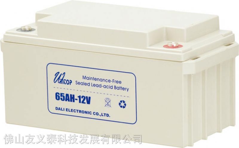 UPS铅酸蓄电池大量现货供应 铅酸蓄电池12V65AH*