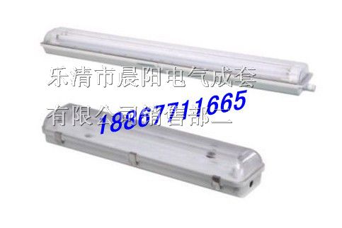 供应BYS系列全塑荧光灯，厂矿用全塑荧光灯