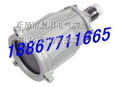 供应*爆视孔灯，ABSG-60w*爆视孔灯