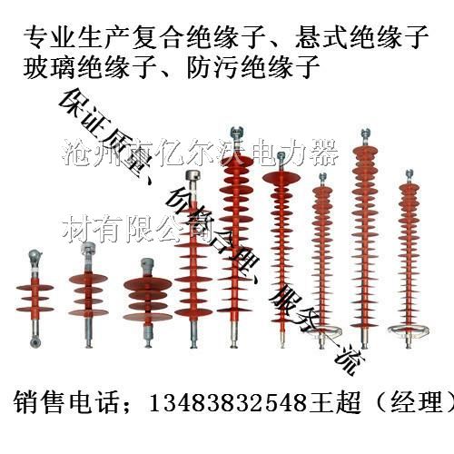 供应FXBW4-35/100悬式复合*缘子厂家