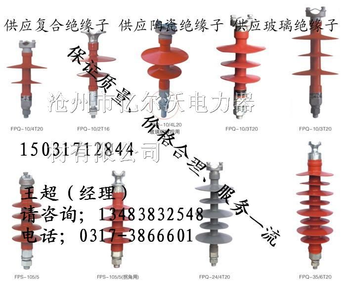 供应FPQ-10/5T20悬式复合*缘子