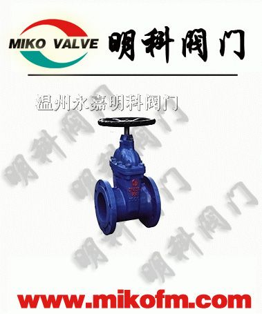供应RVCXZ45X铸铁暗杆闸阀