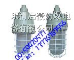 供应BAD61系列*爆一体灯   *爆灯