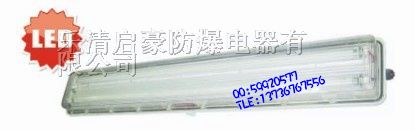 供应BAY51-Q系列*爆*腐全塑荧光灯   全塑荧光灯