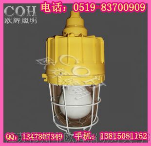 供应CCD92 *爆无*灯