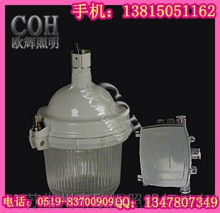 供应ZNFC9110*顶灯