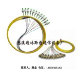 电信级12芯束状尾纤，SC束状尾纤