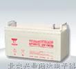 广州汤浅蓄电池12v-100ah/蓄电池价格
