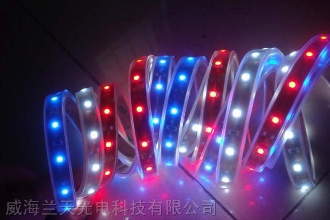 威海供应KTV装饰灯带 LED*软光条 *