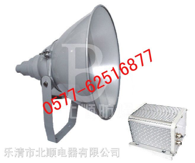 供应NTC9200*震型投光灯， NTC9200价格