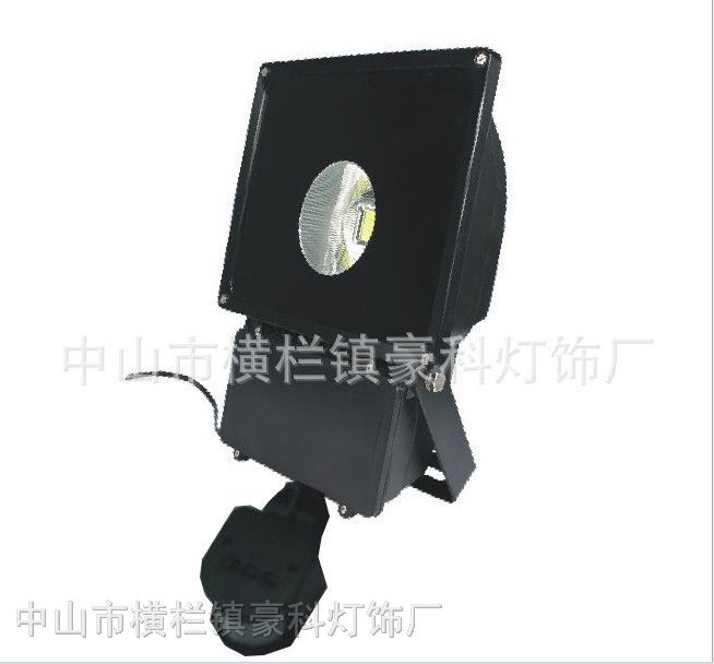供应LED感应泛光灯