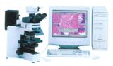 显微图像分析系统MIAS-4400